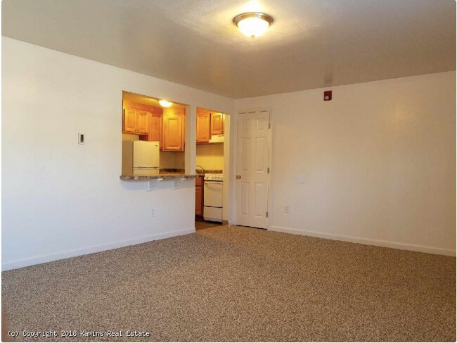 Living Room - 1001 N Pleasant St