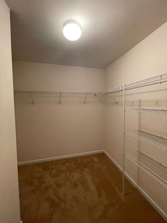 Building Photo - 4BR/3BA Home with Bedroom and Full Bath Downstairs Now Available In South Charlotte!