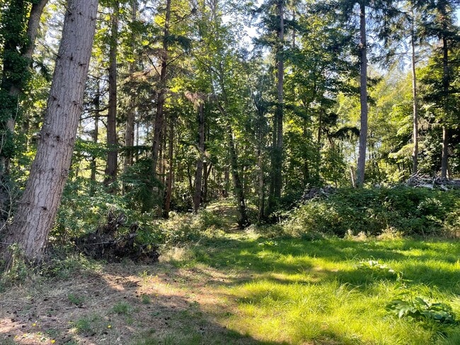 Building Photo - Newer Double Bluff Home In The Woods!