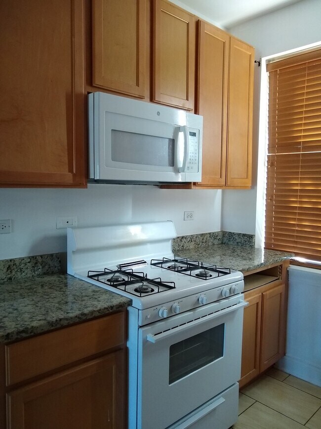 Building Photo - 2-Bed/ 1-Bath Condo for Rent in North Rogers Park