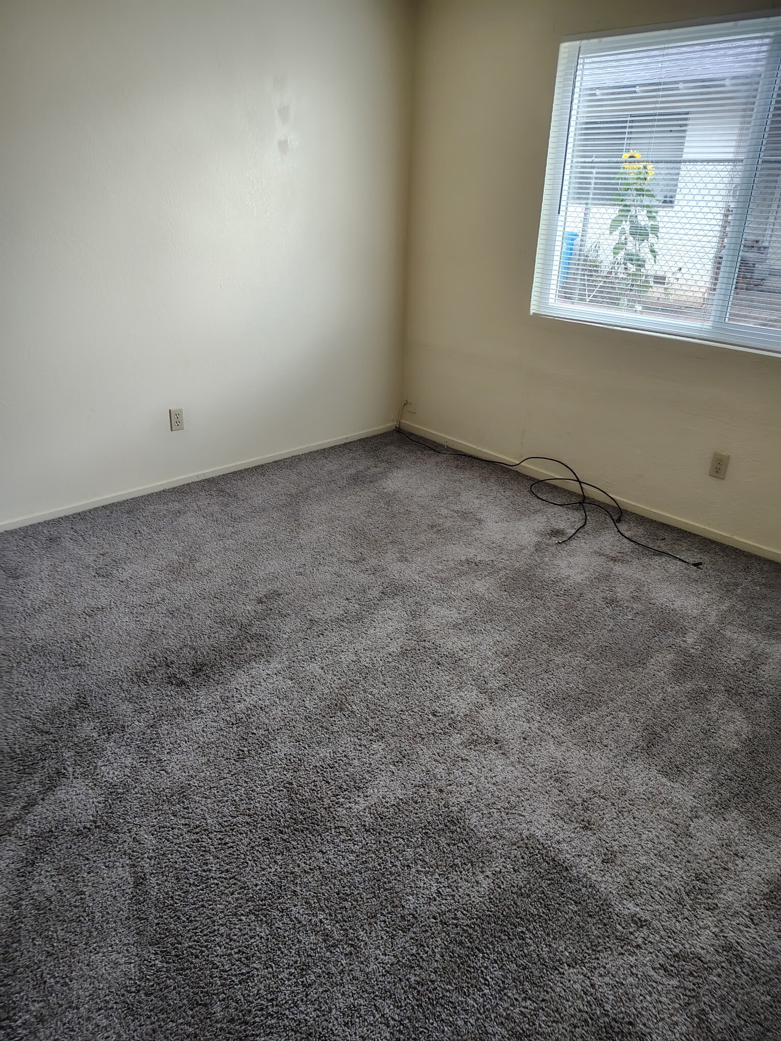 Building Photo - 730 Plumas Ave