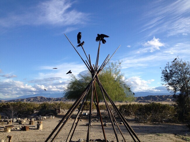 wild birds & views - 21900 Penny Ln