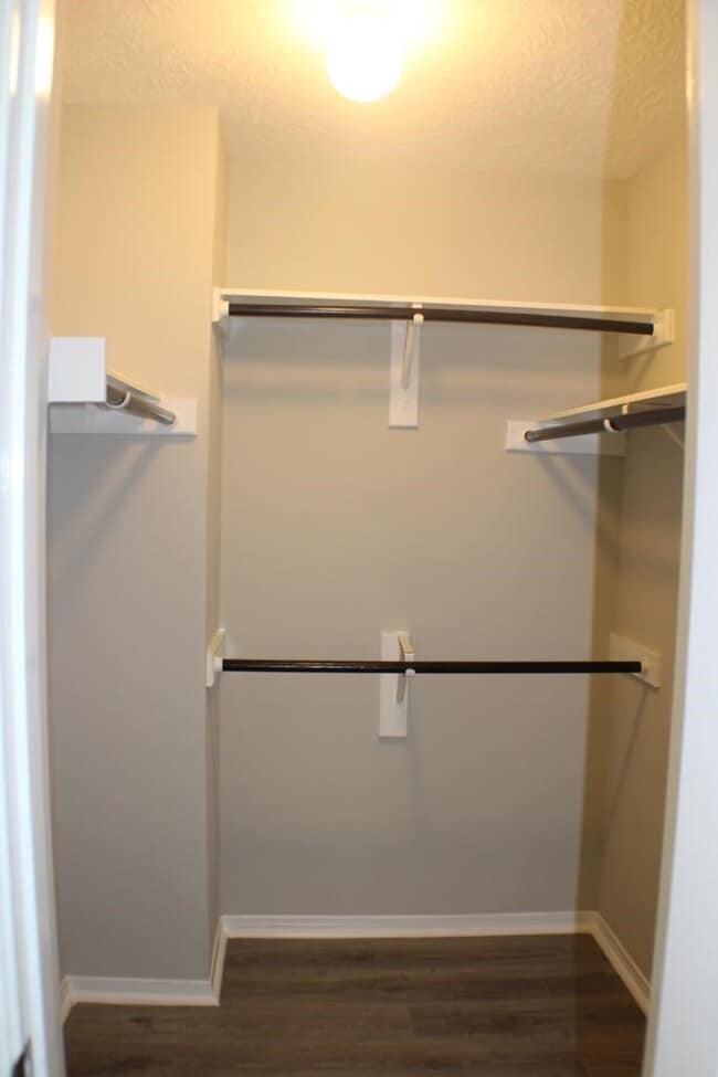 Building Photo - 2411 Rose Hollow Dr