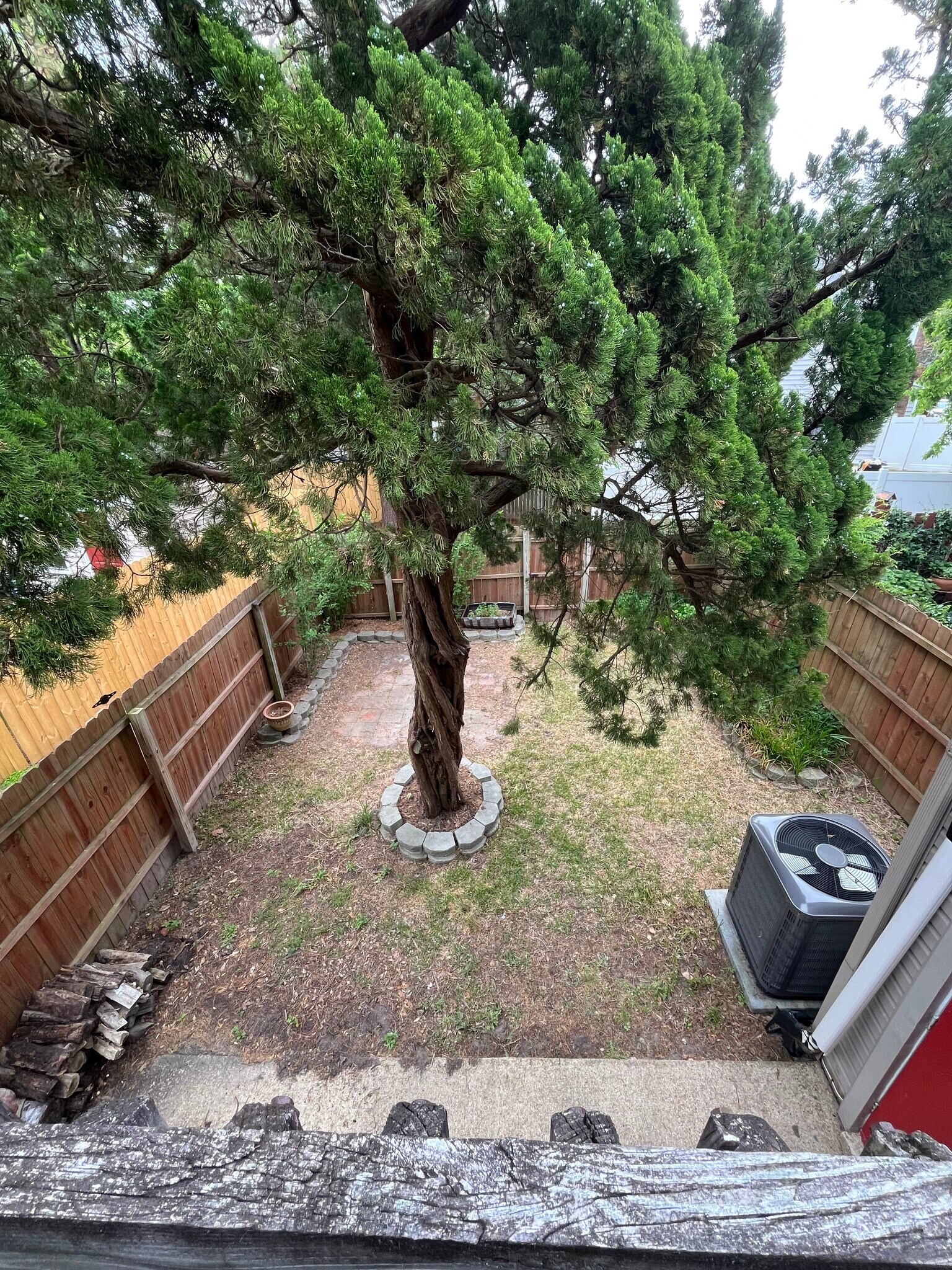 Backyard (From Master balcony) - 3751 Pendleton Ave