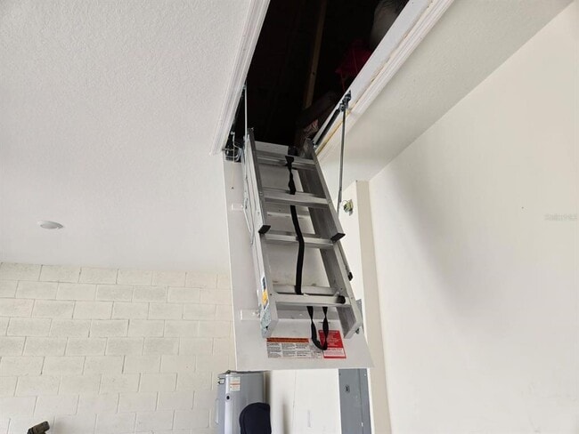 Building Photo - 3337 Perennial Ln