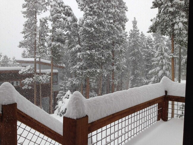 Building Photo - 157 Independence Cir