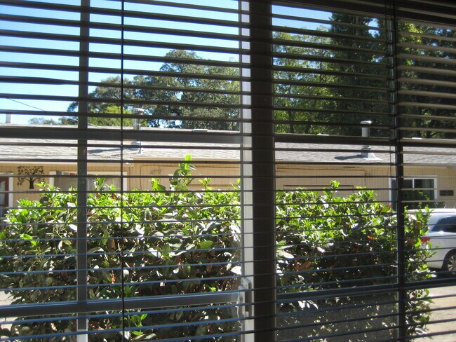 View from living room window. - 567 San Geronimo Valley Dr