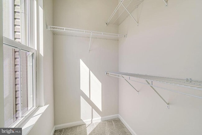 Building Photo - 4724 Torrey Ln