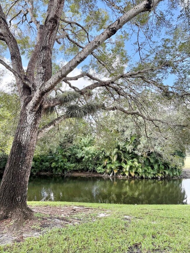 Building Photo - 643 Vista Isles Dr