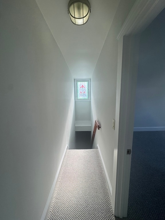 Building Photo - 10 Caledonia Pl