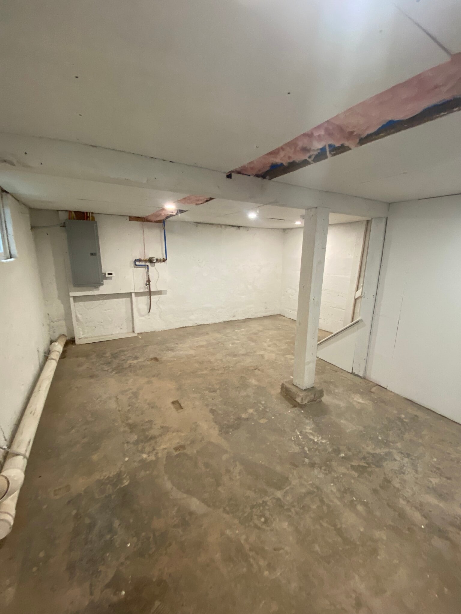Basement - 417 Jones St
