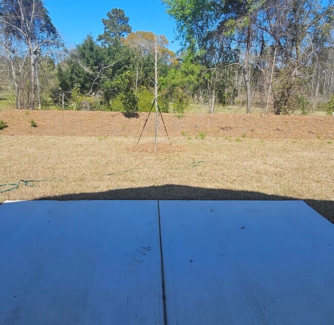 Building Photo - 337 Sweet Vernal St