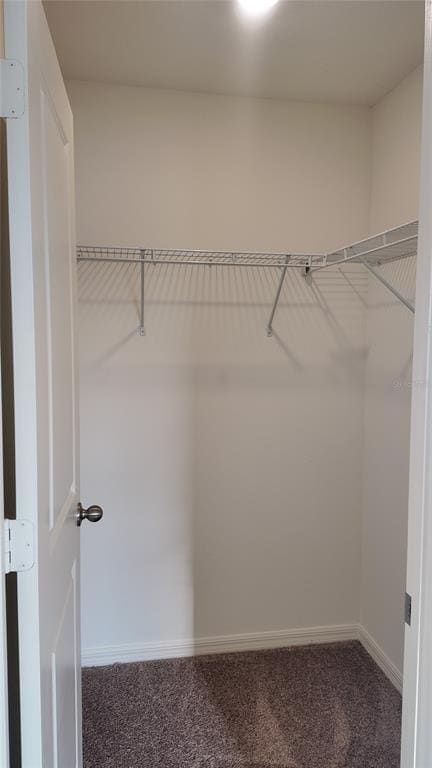 Building Photo - 2798 Raindrop Run St