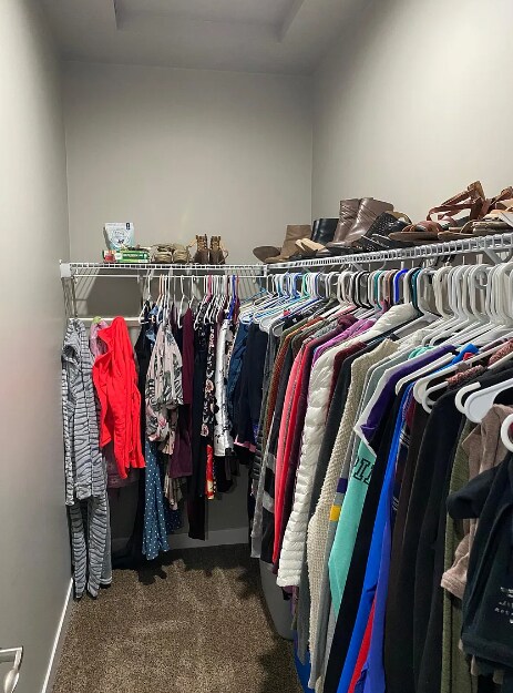 Building Photo - 3020 Bluestem Trl