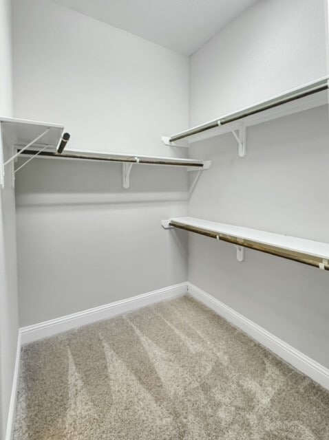 Building Photo - 2119 Llerena Ln