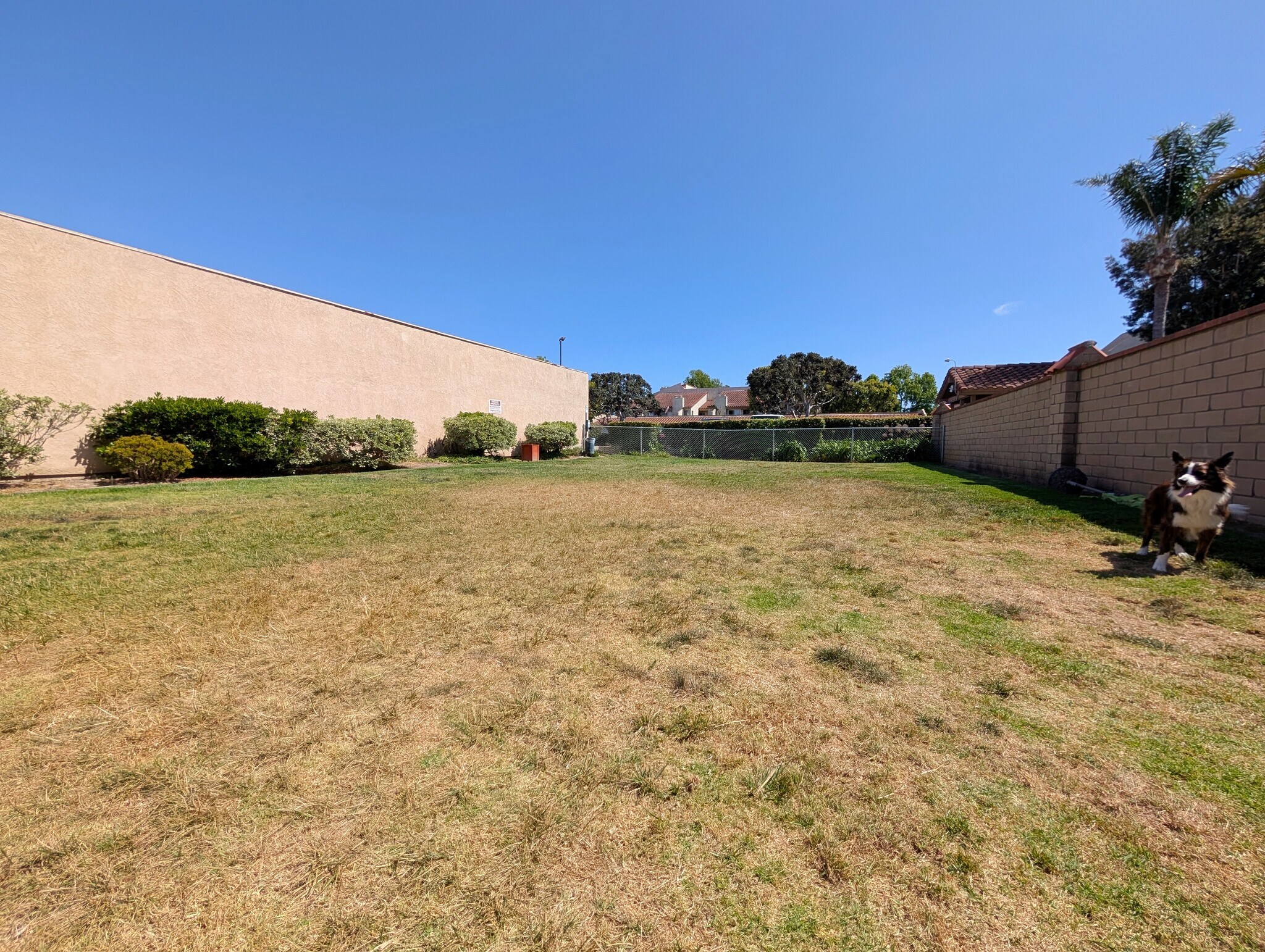 Building Photo - 4852 Cabana Dr