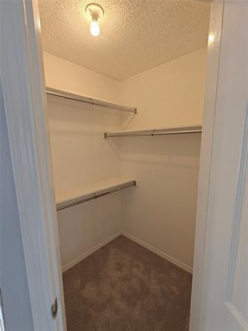 Building Photo - 4108 Mesa Dr