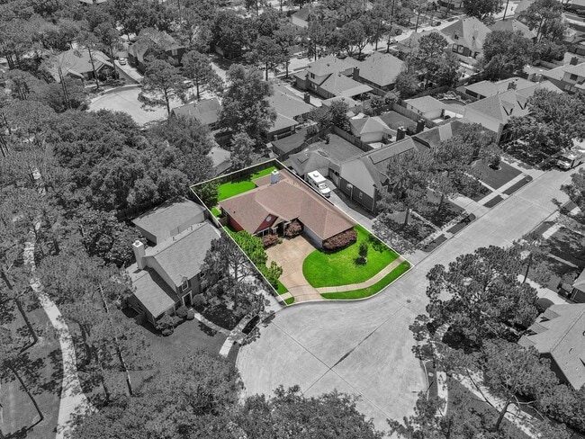 Building Photo - 14607 Graywood Grove Ln