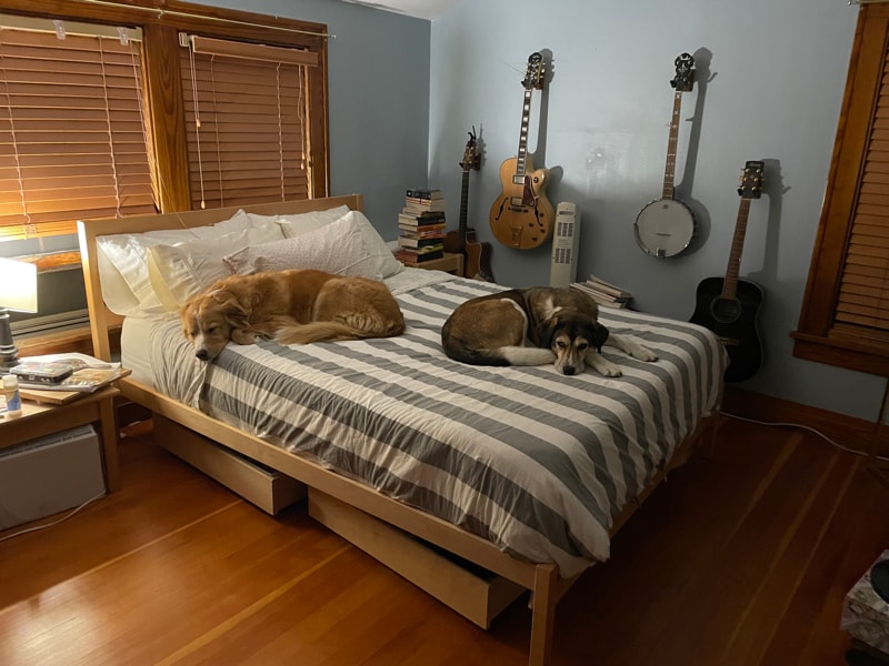 Building Photo - 944 E Mifflin St