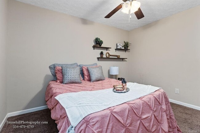 Building Photo - 1641 Buena Vista Blvd