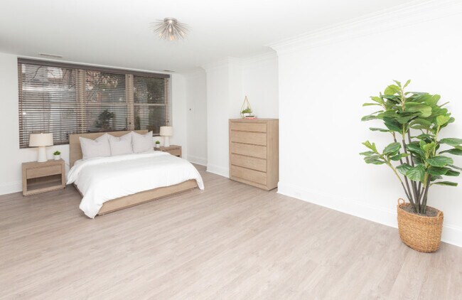 Building Photo - Chateaus at 1038 N Calvert