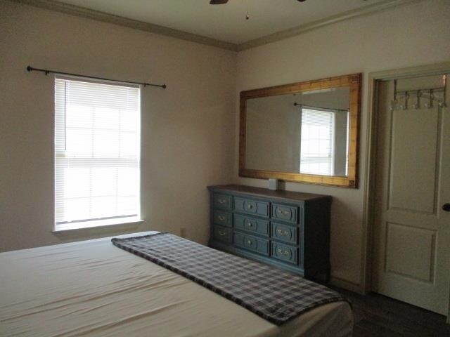 Building Photo - 10706 International Blvd