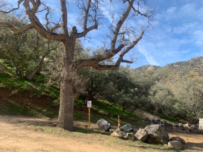 Building Photo - 1042 Squirrel Ln