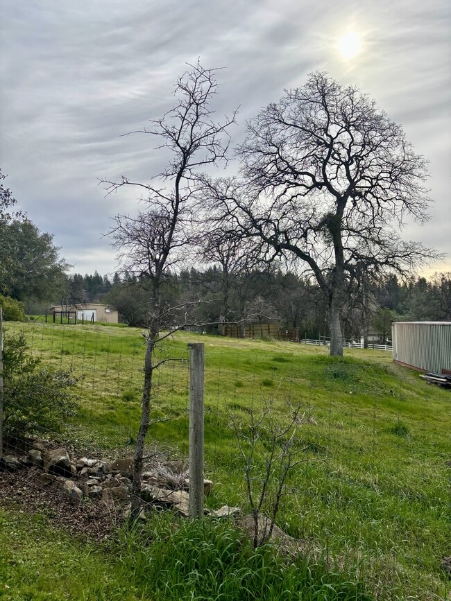 Building Photo - 10389 N Ponderosa Way