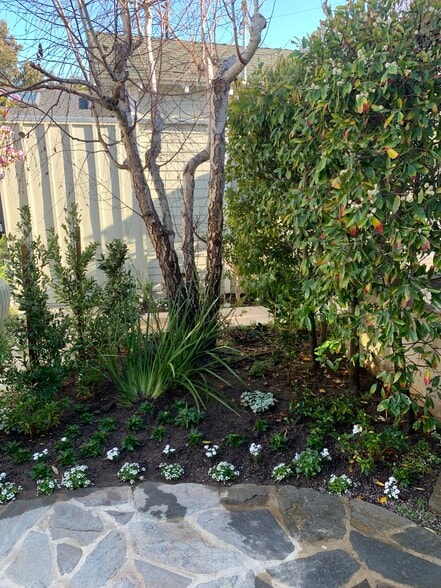 Garden - 1328 Electric Ave