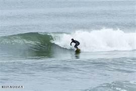 Building Photo - 217 Blaine Ave