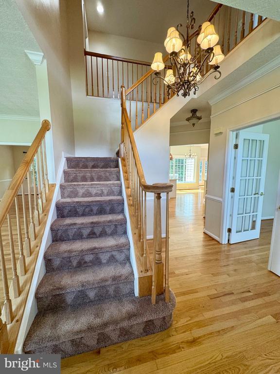 Building Photo - 805 Winterberry Dr