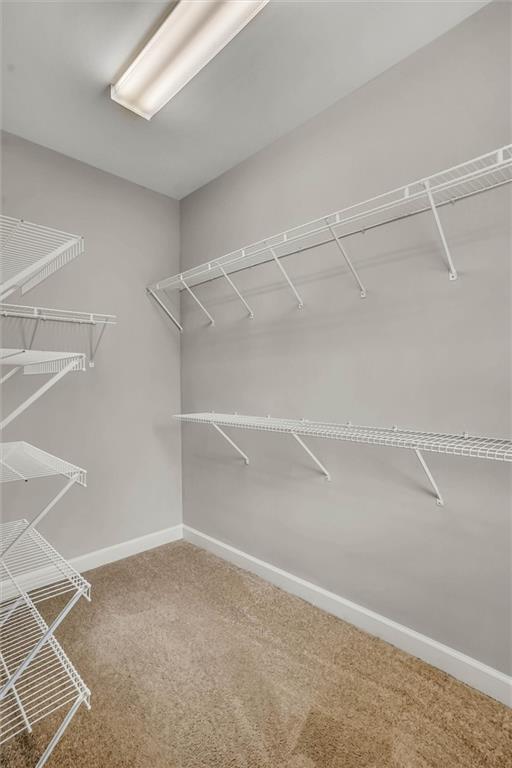 Building Photo - 3026 Eltham Pl