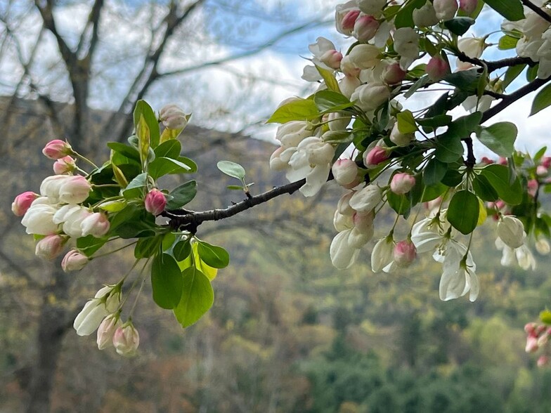 Building Photo - 40 Sunset Ridge