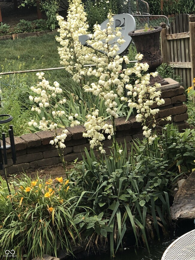 Building Photo - 7620 Snowflake Dr