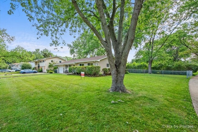 Building Photo - 295 Frederick Ct