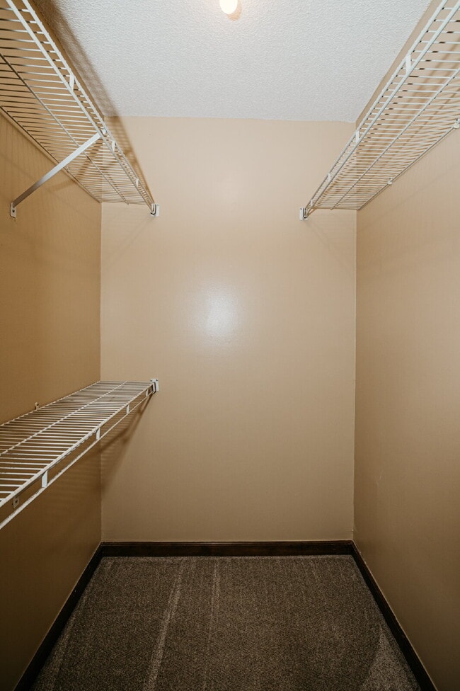 Building Photo - Move-In Ready! 3-Bed Home with Spacious Backyard