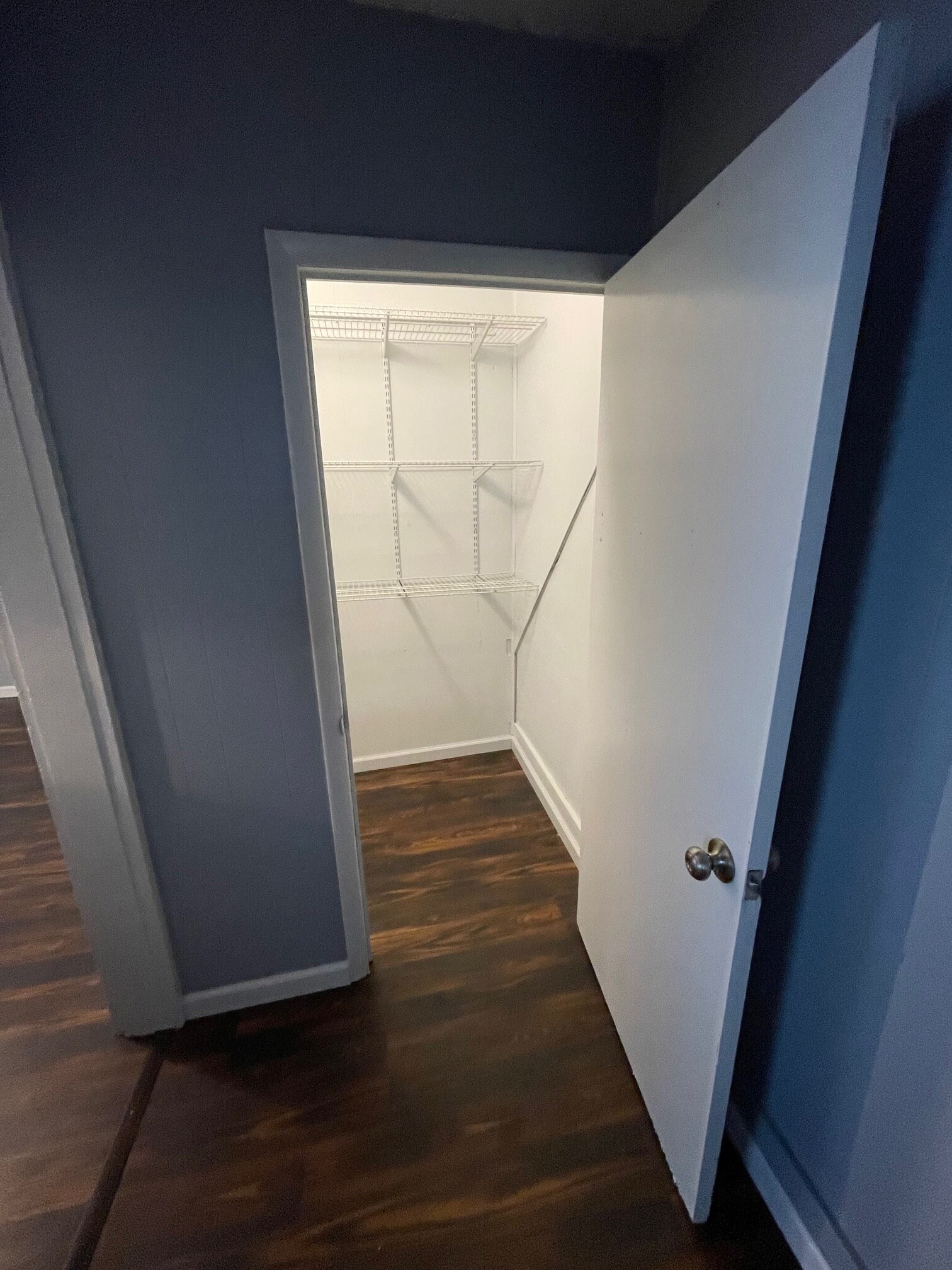 Get spoiled by this walk-in pantry just steps from your kitchen! - 6 Catawba Ave