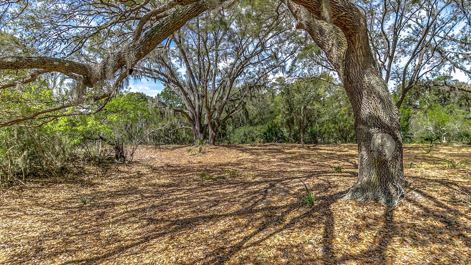 Building Photo - 635 Dune Oaks Dr