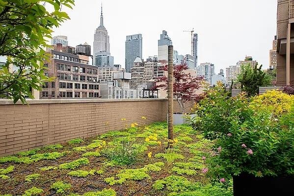 Building Photo - 260 W 26th St