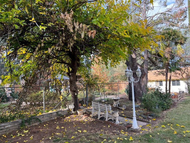 Building Photo - Wonderful Palo Cedro Neighborhood country ...