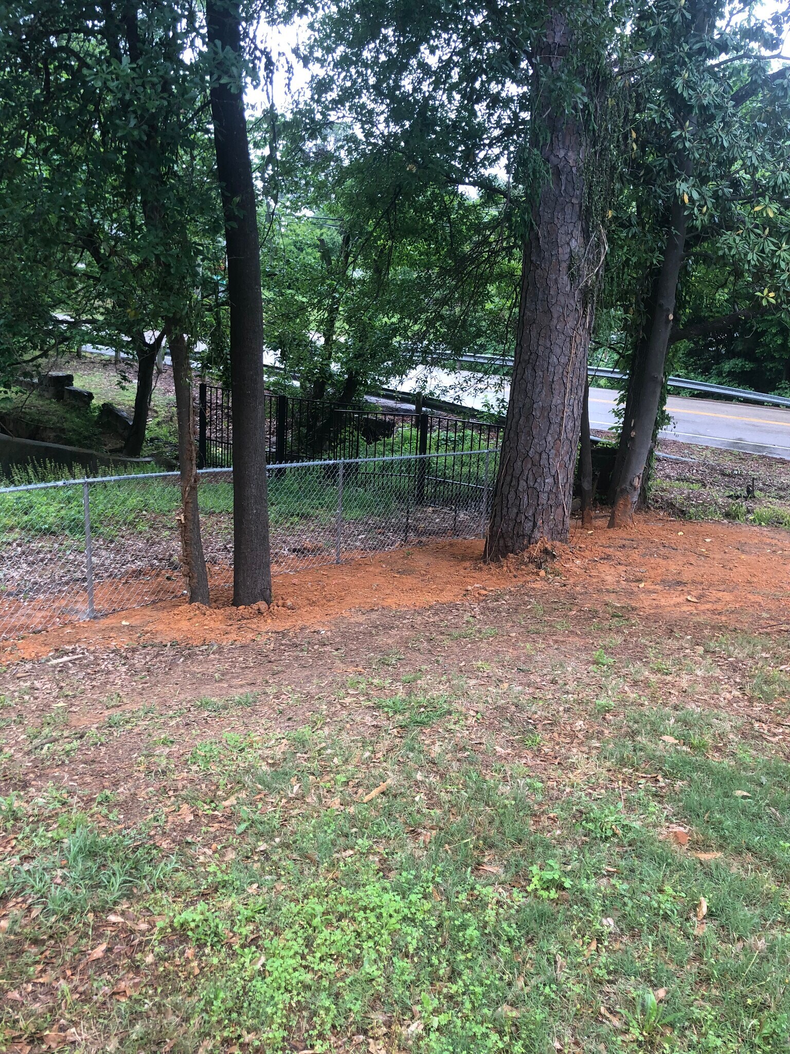 CLEARED FRONT YARD - 209 Reel Rd