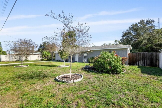 Building Photo - Beautiful and Upgraded 3/3 in South Tampa! Available Now!