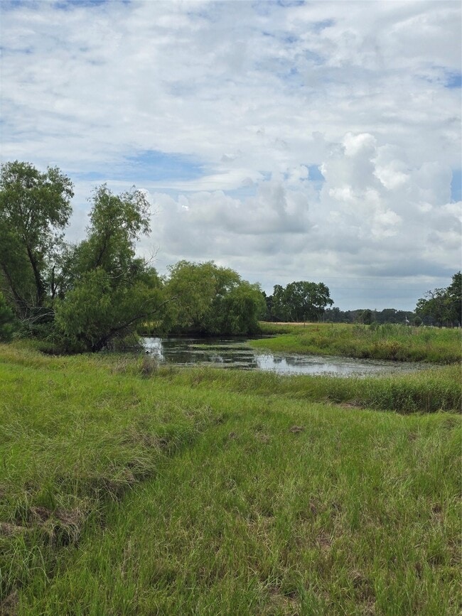Building Photo - 29502 FM 1736