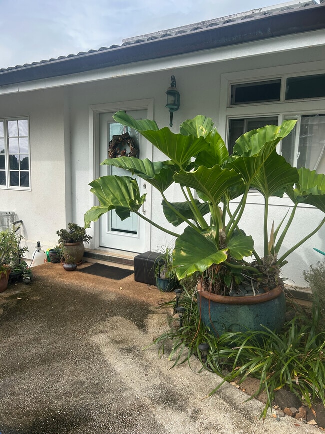 Building Photo - 116 Hanupaoa Pl