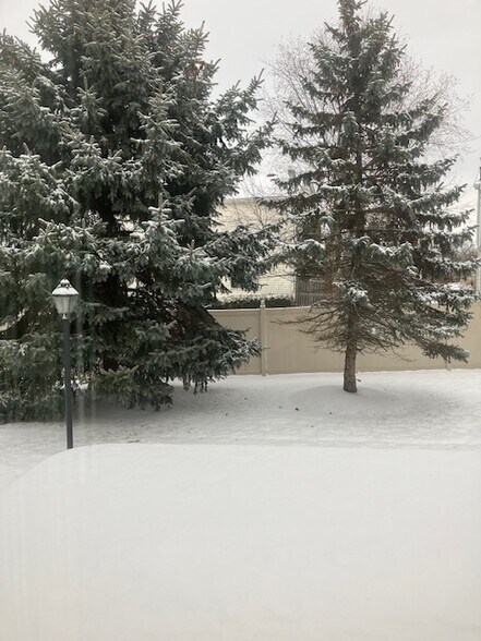 Building Photo - 3110 Shenandoah Dr