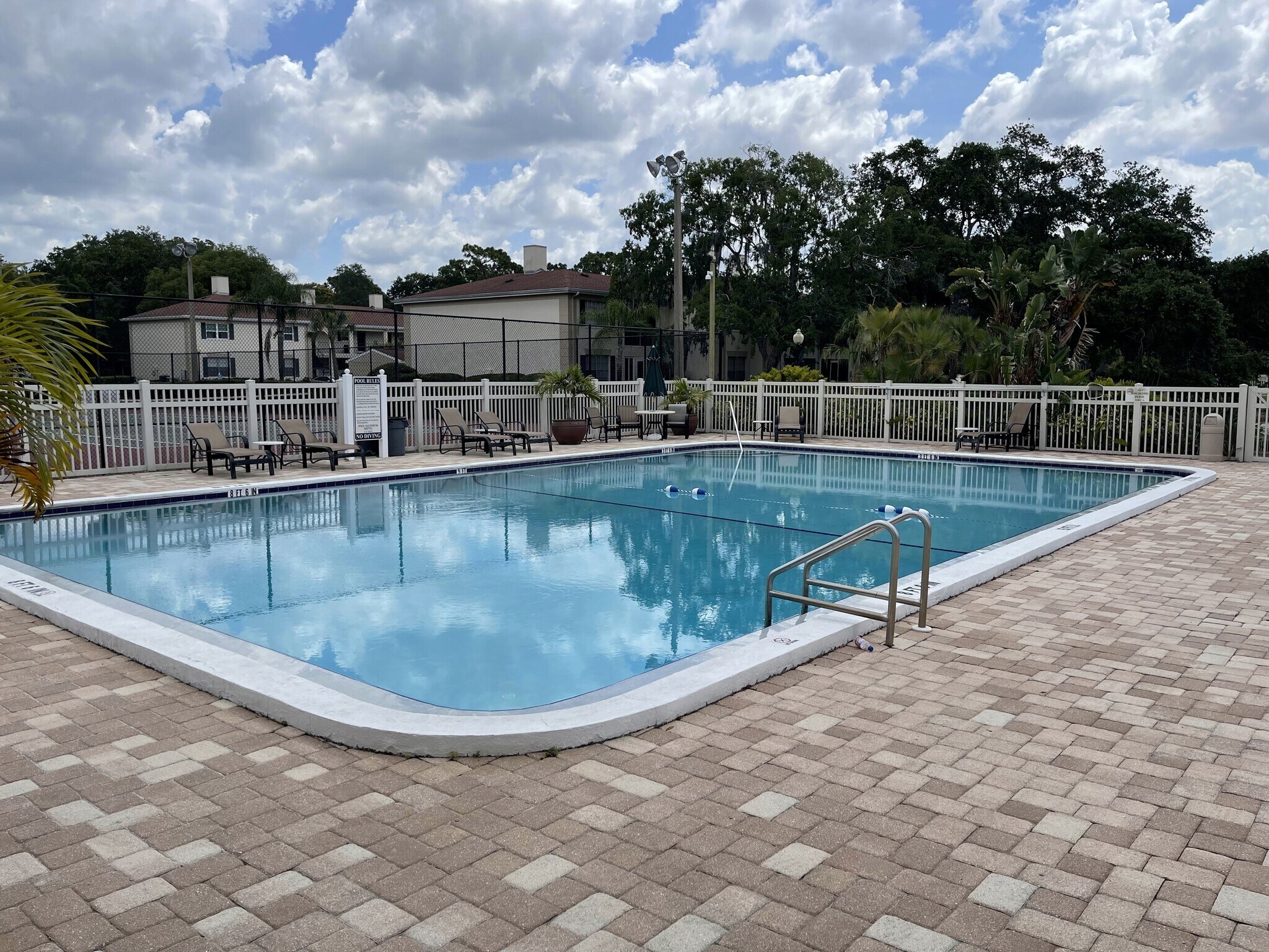 Primary Pool - 10356 Carrollwood Ln