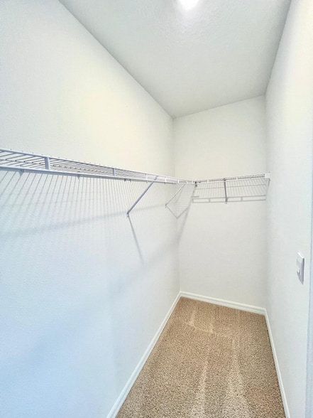 Building Photo - 32508 Midsummer Night Ln