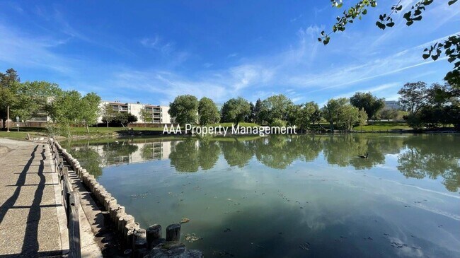 Building Photo - Concord Beautiful remodeled 1 bedroom 1 bath condo! Central location
