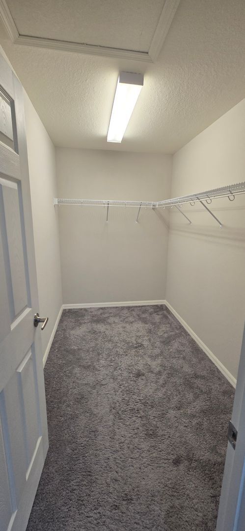 Building Photo - Welcome to your new home in Chapel Creek!