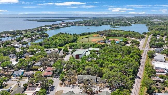 Building Photo - The Oaks at Safety Harbor 3 bedroom 2 bath